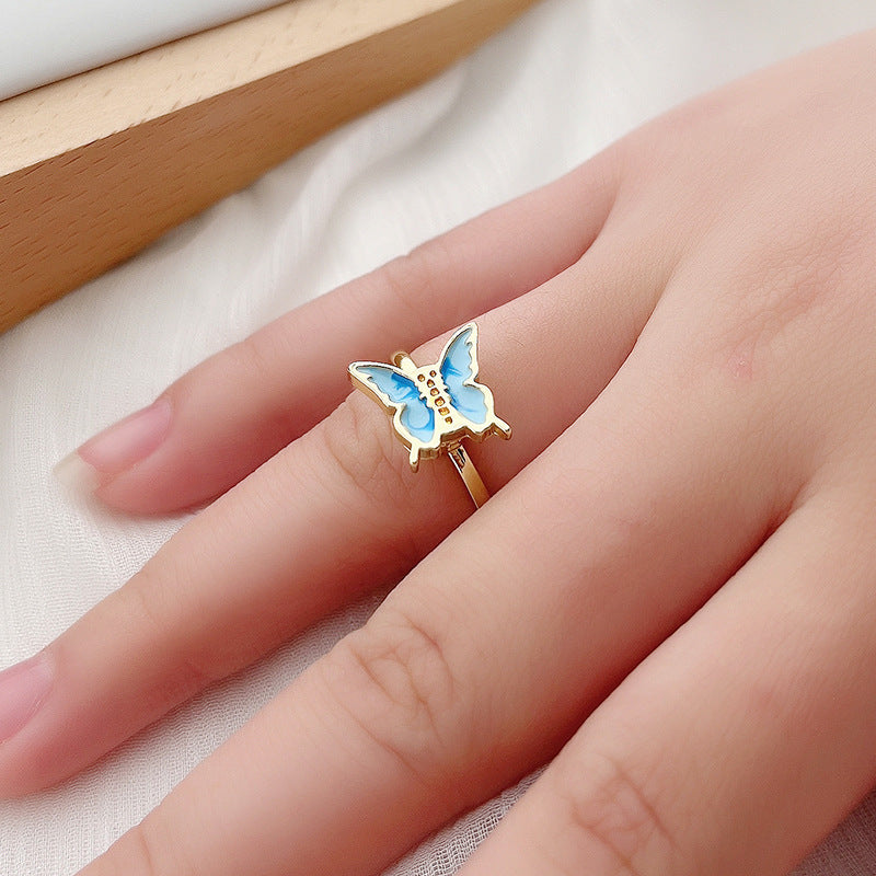 Fidget Ring