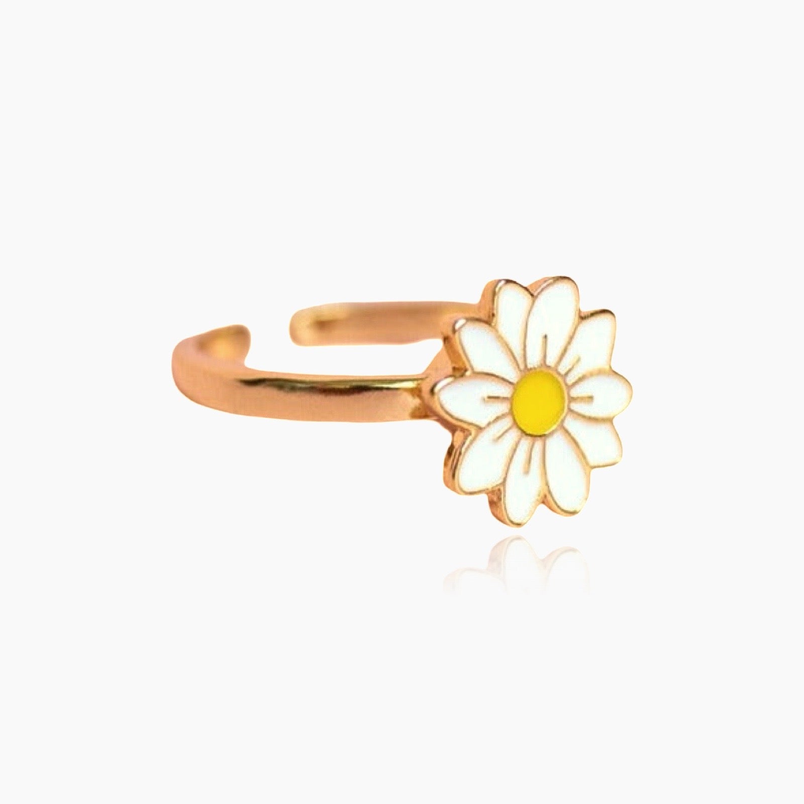 Fidget Ring
