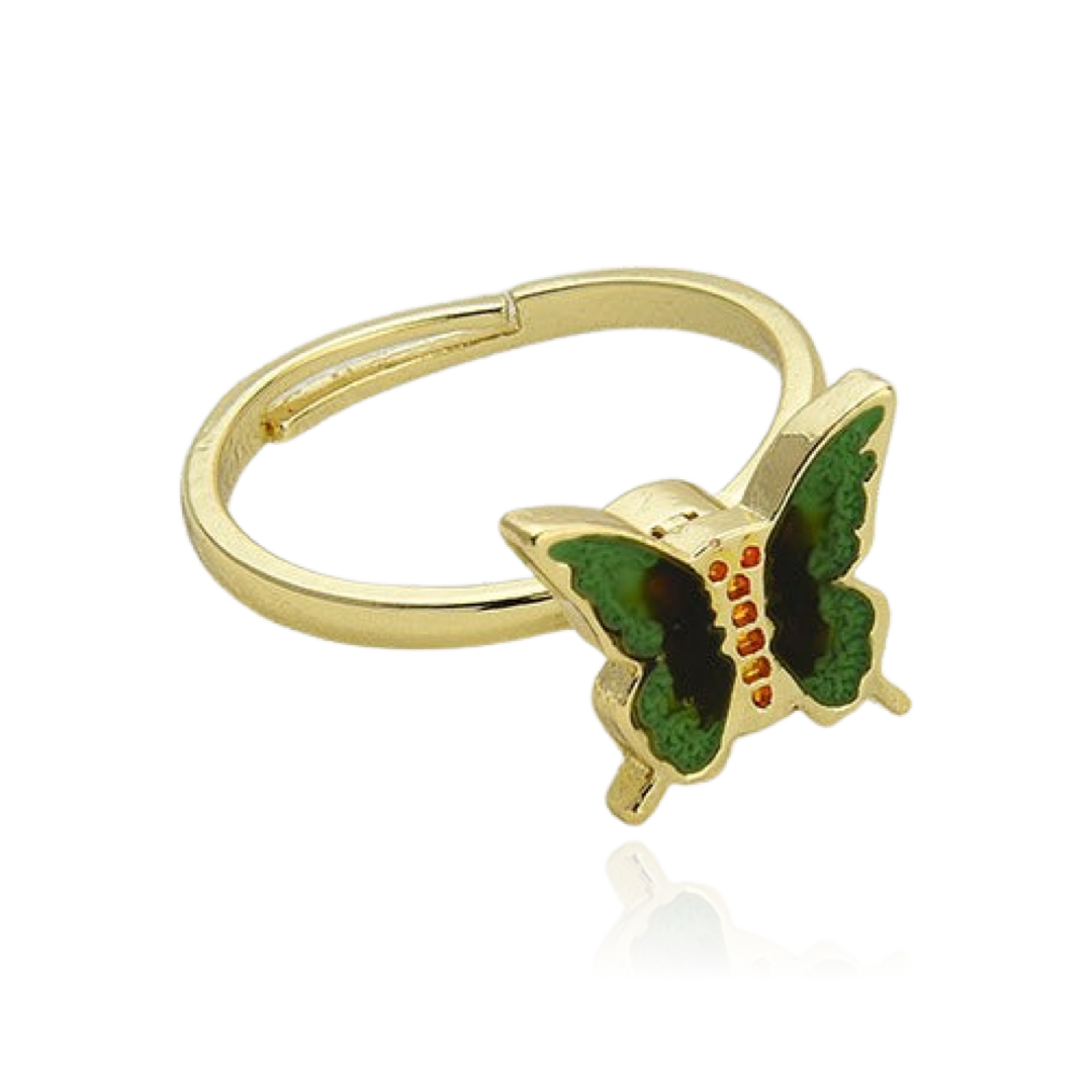 Fidget Ring